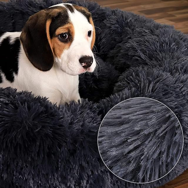 Foto 5 de 8 de Yuma SPAZIO Cama Perro Mediano y Pequeño. Cama para Perros Antimordeduras. Cojin Resistente y Lavable. Cama…