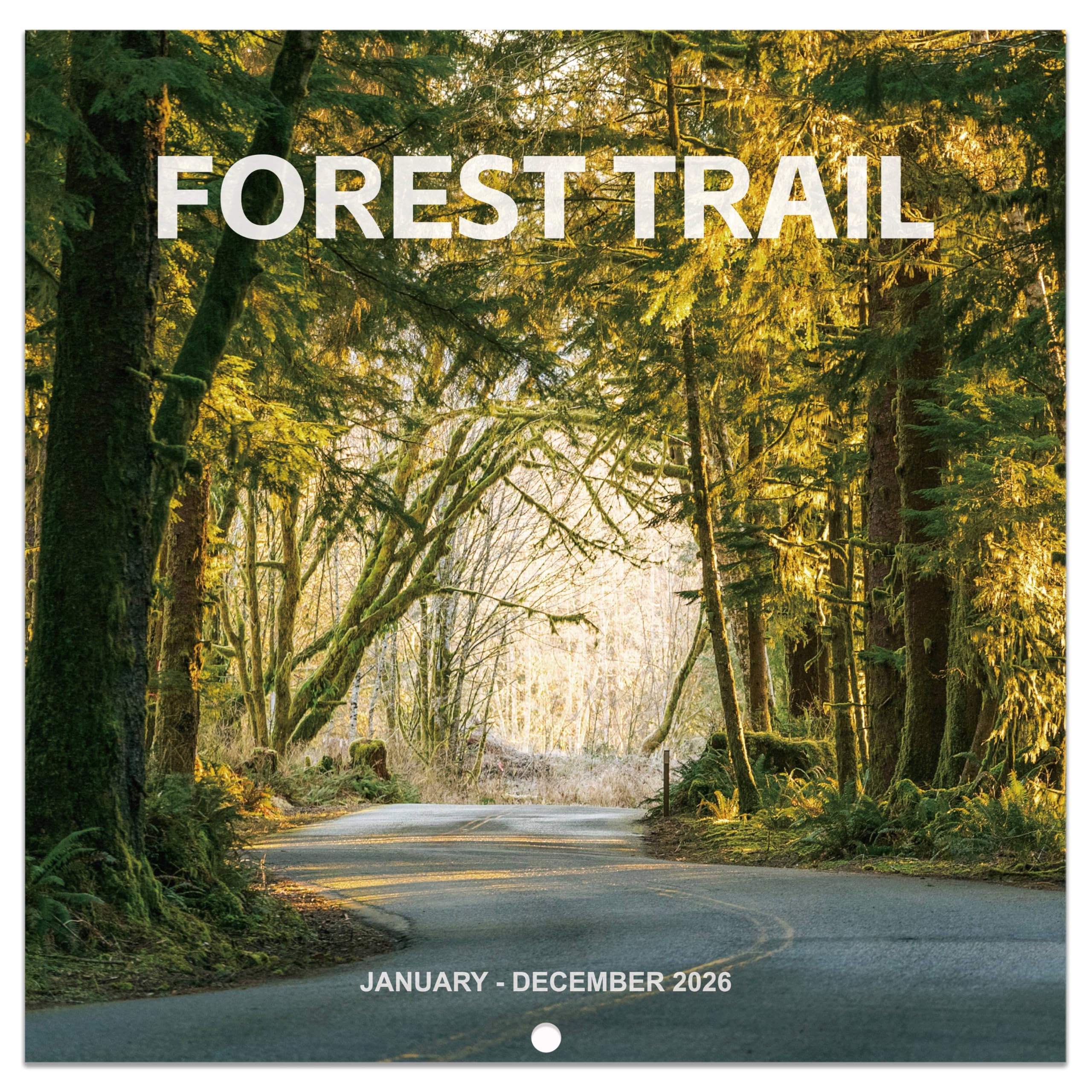 2026 Calendar - 2026 Wall Calendar 12 months from Jan. 2026 - Dec. 2026, 12" x 24" (Open), Scenic Path Wall Calendar 2026 with Thick Paper