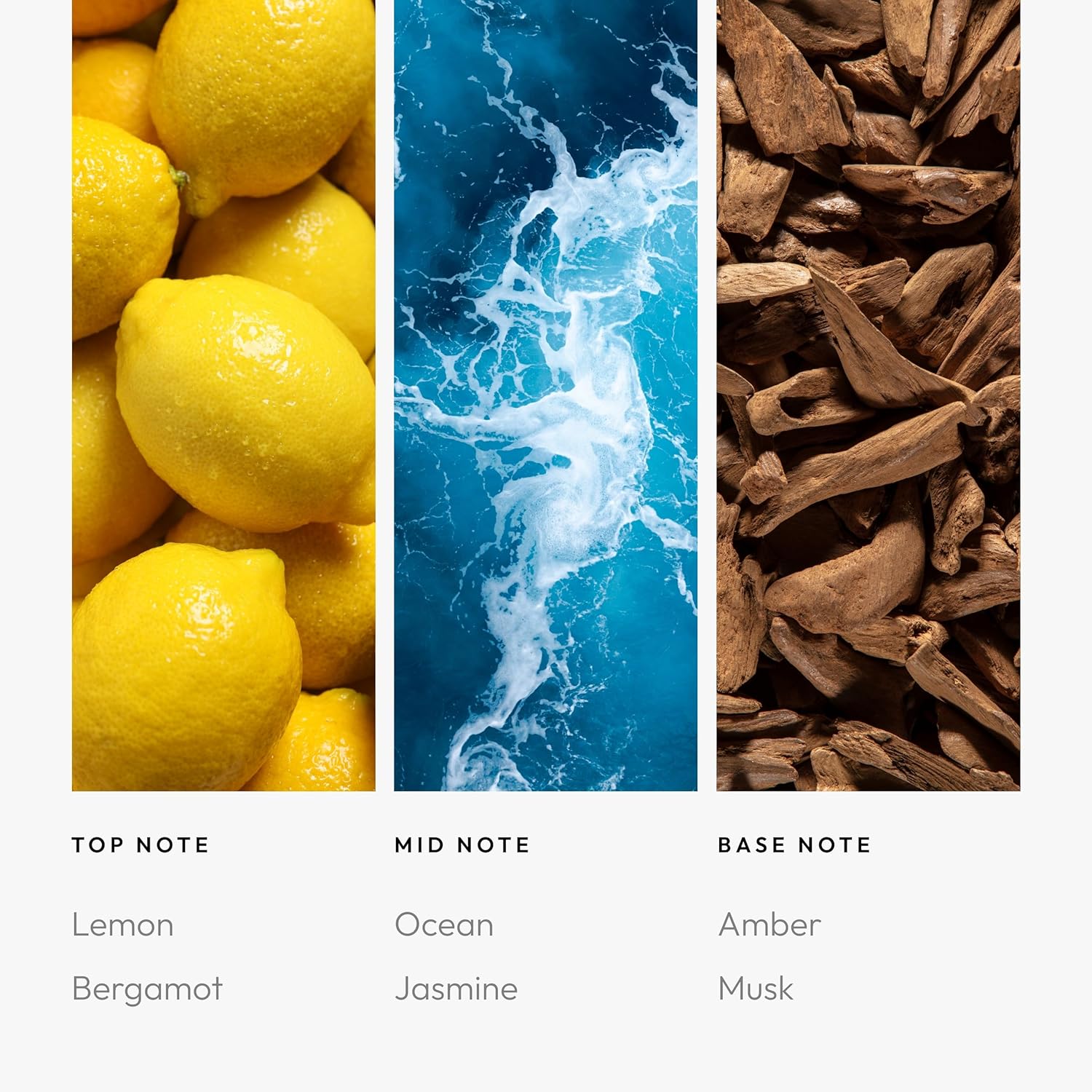 Visual breakdown of the scent notes: Top (Lemon, Bergamot), Mid (Ocean, Jasmine), Base (Amber, Musk).
