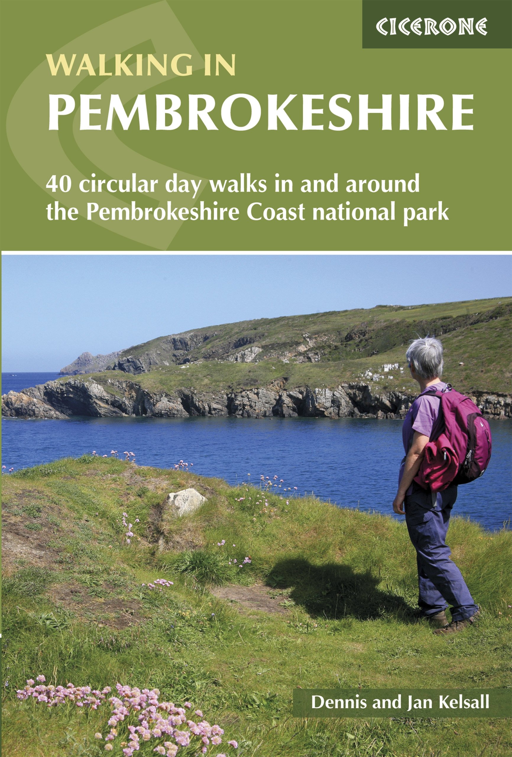 Walking in Pembrokeshire: 40 circular walks in and around the Pembrokeshire Coast National Park (Cicerone Walking Guides)
