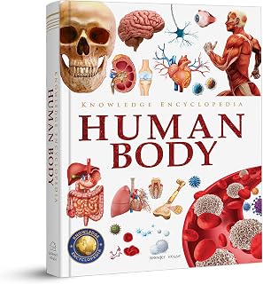 Knowledge Encyclopedia Human Body for Kids: Diagrams, Glossary & Fun Facts | Wonder House Books