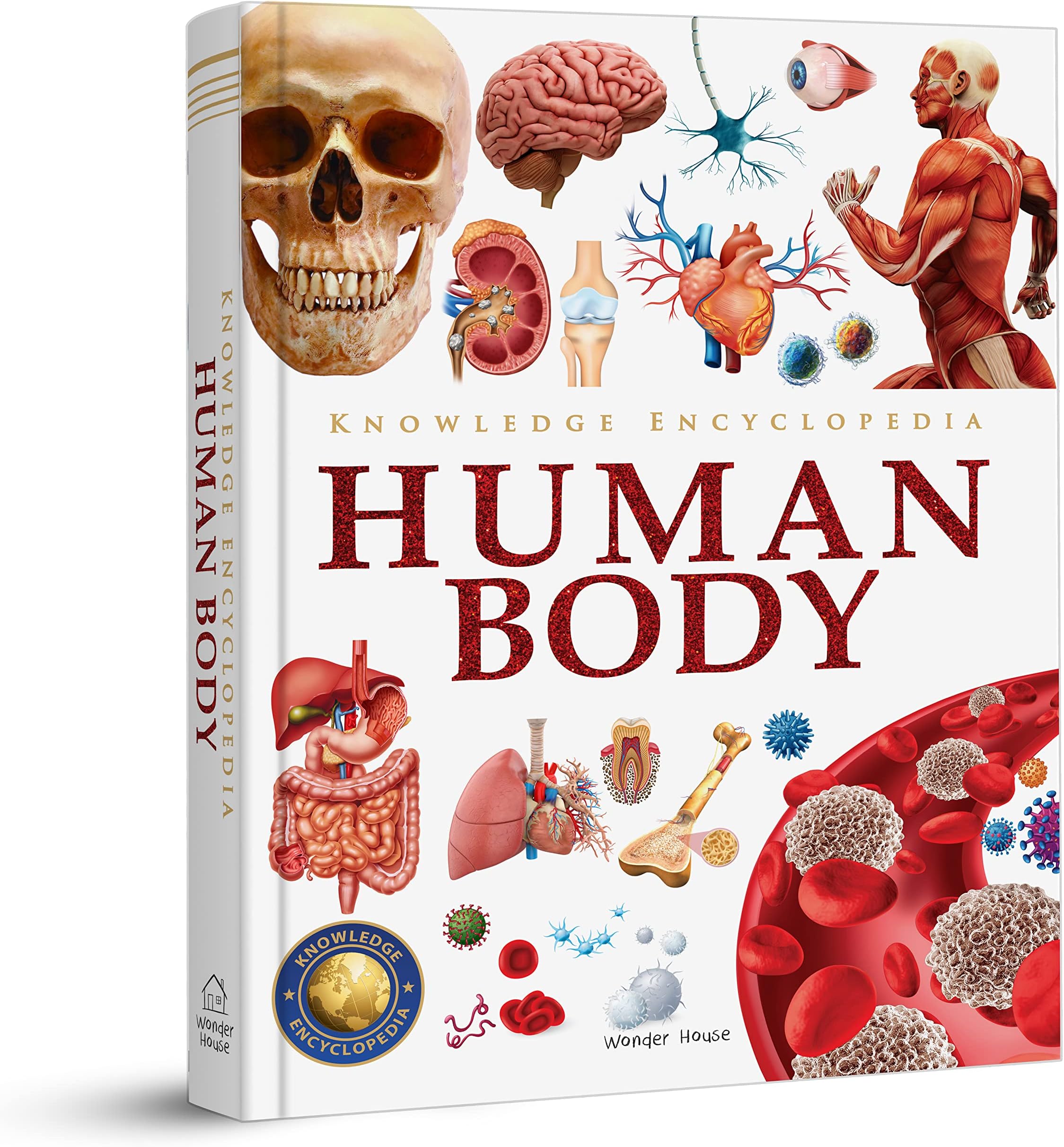 Knowledge Encyclopedia - Human Body