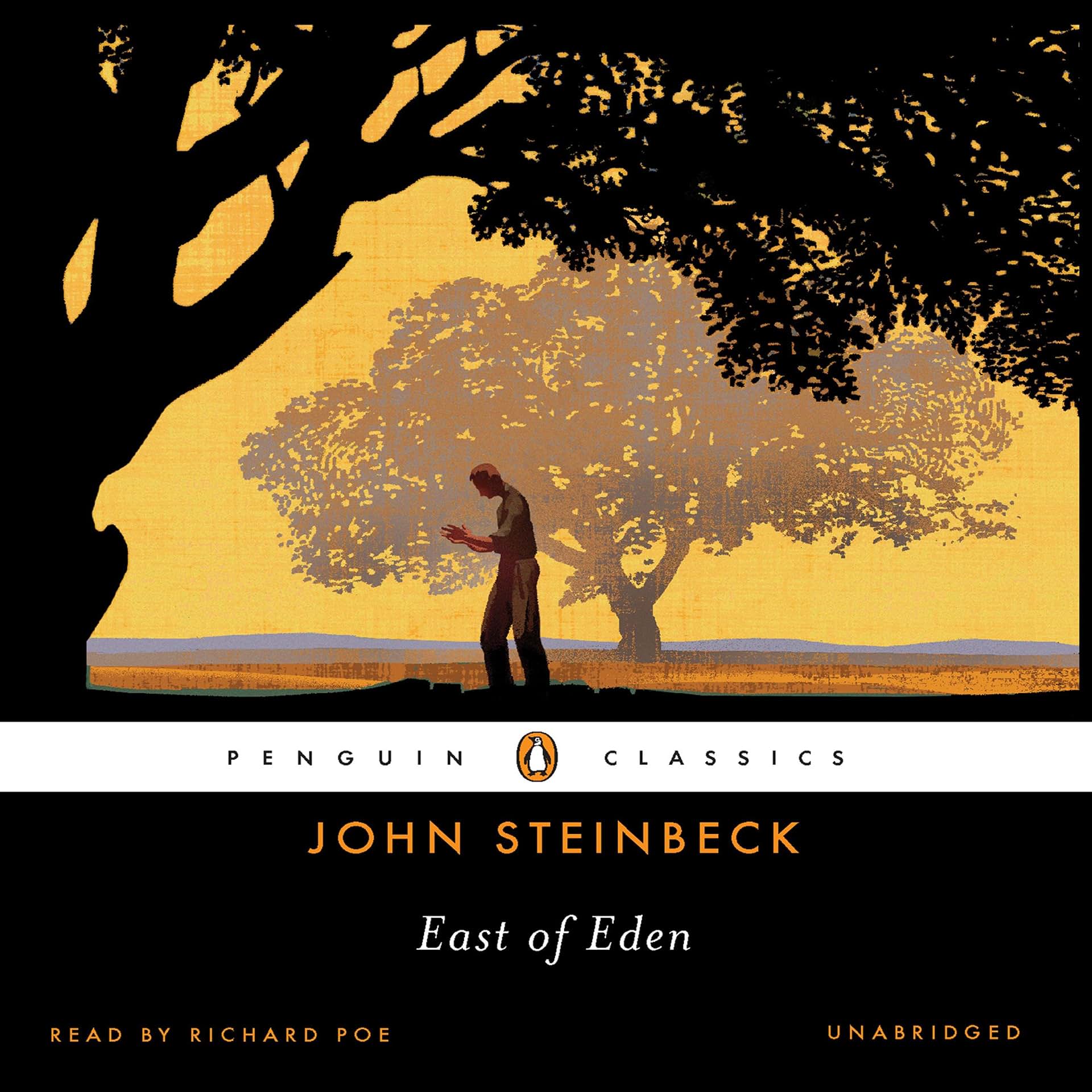 cover-image