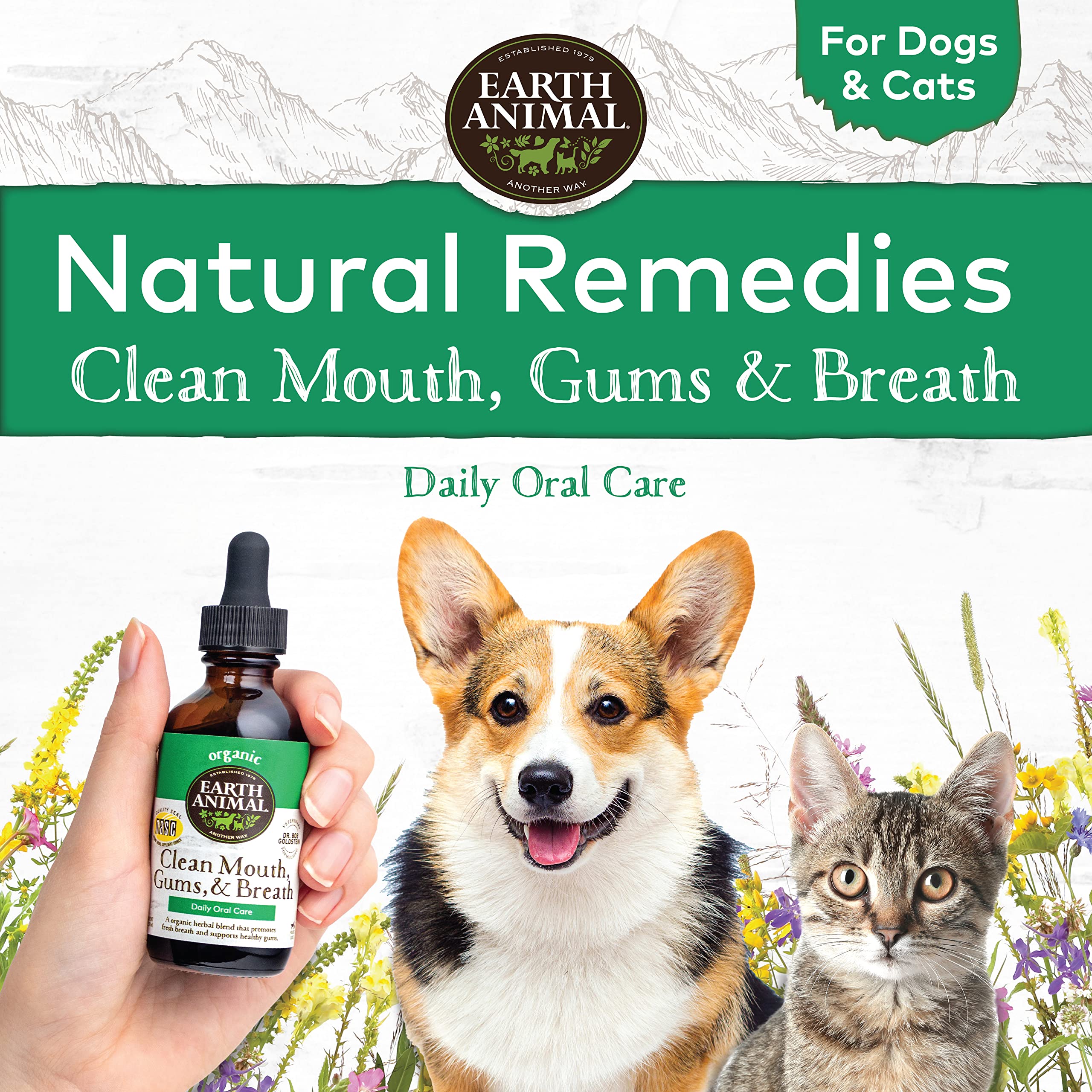 Do Dogs Or Cats Have The Cleanest Mouths