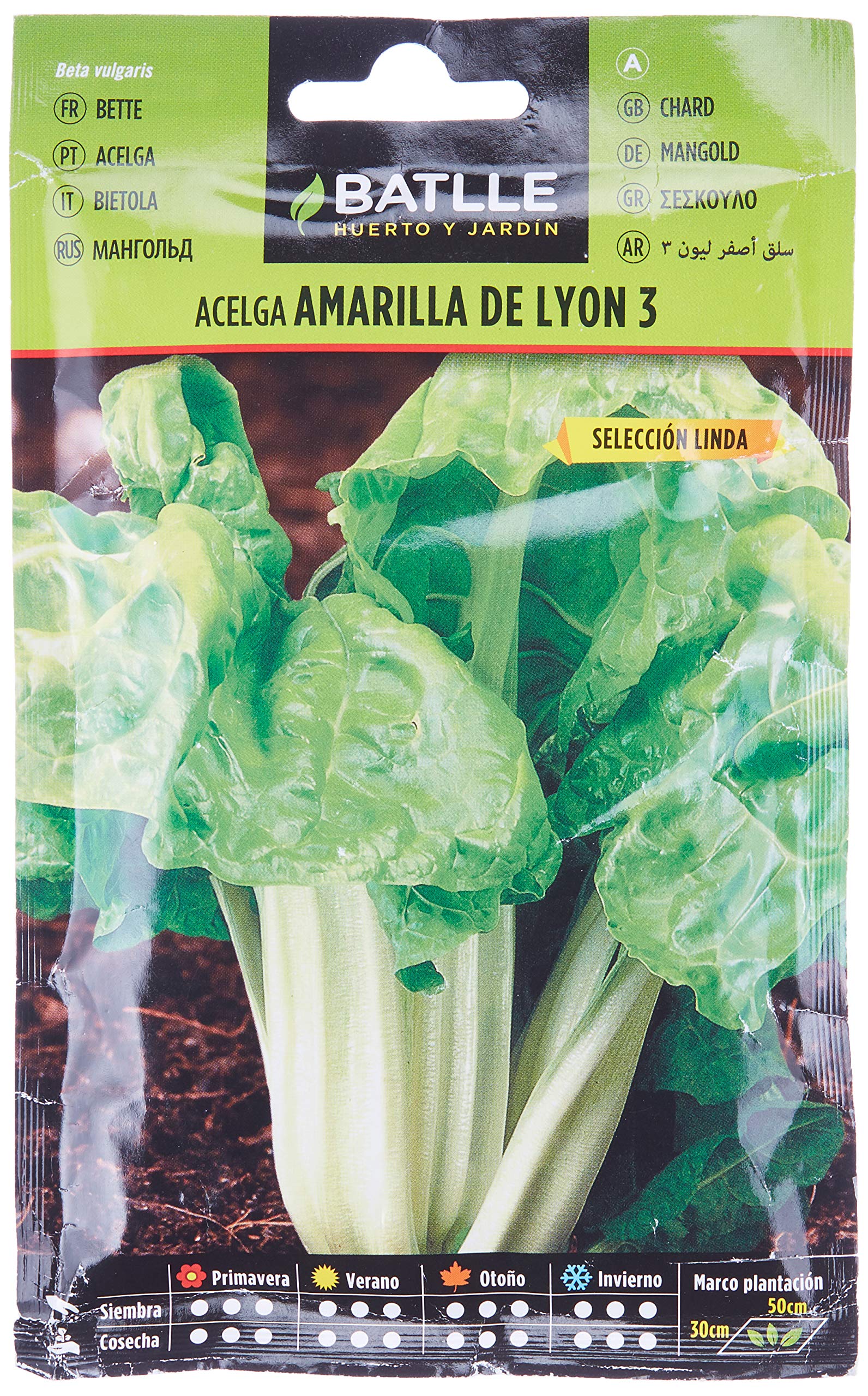 Bette à carde de Lyon Linda