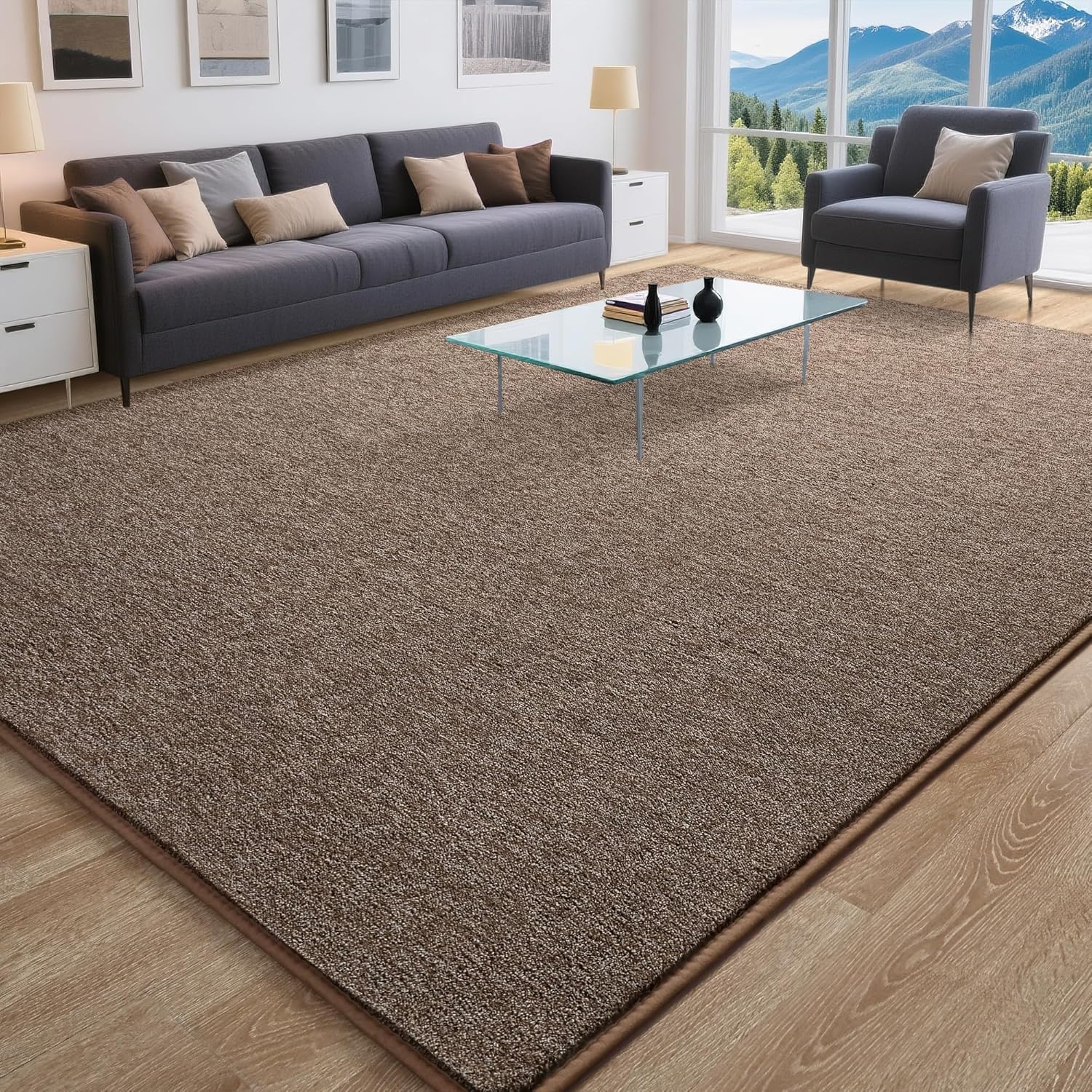 Tepook Soft Area Rug for Living Room Bedroom, 5x7 Brown Rug Memory Foam Carpets, Washable Modern Indoor Non-Slip Minimalist Shag Rugs for Boys Girls Room Dorm Home Decor