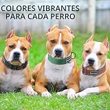 Ver la foto 6