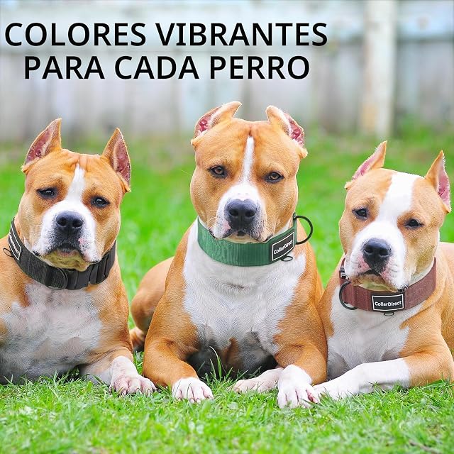 Foto 6 de 6 de Collar para Perros Grandes o Medianos de Alta Resistencia, Collar Ajustable y Resistente para Perros Activos