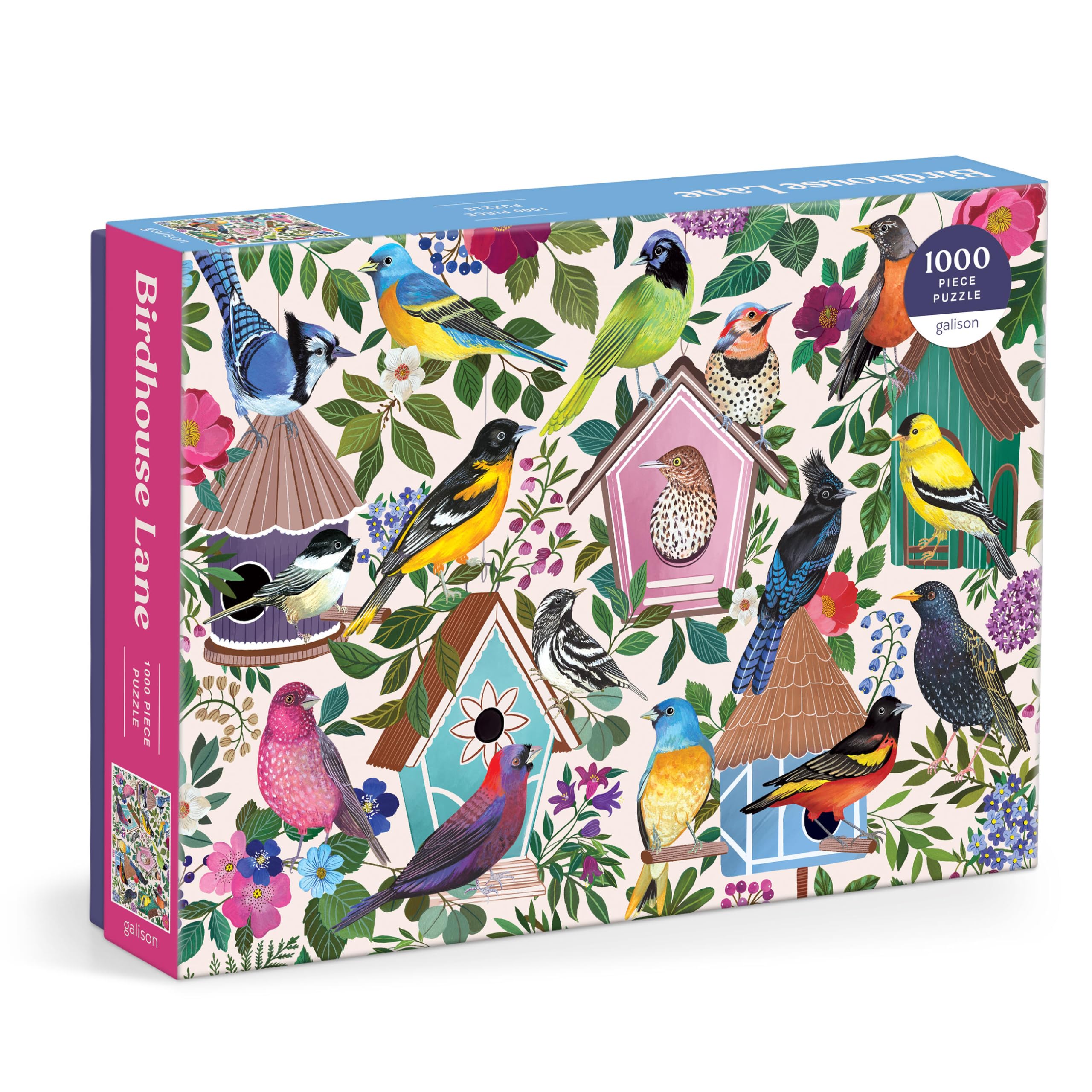 Galison Birdhouse Lane – 1000 Piece Jigsaw Puzzle Featuring Beautiful Artwork Of Birds and Birdhouses