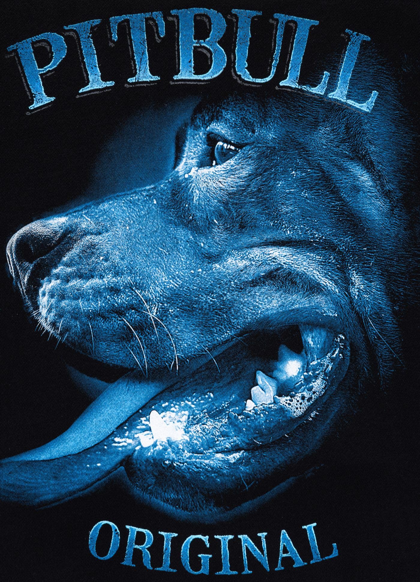PITBULL Męska bluza z kapturem Midnight męska bluza z kapturem, regularny krój, z dużym nadrukiem na plecach, oryginalne logo, ciężki szczotkowany polar 400 GSM, streetwear, wygodna bluza z kapturem