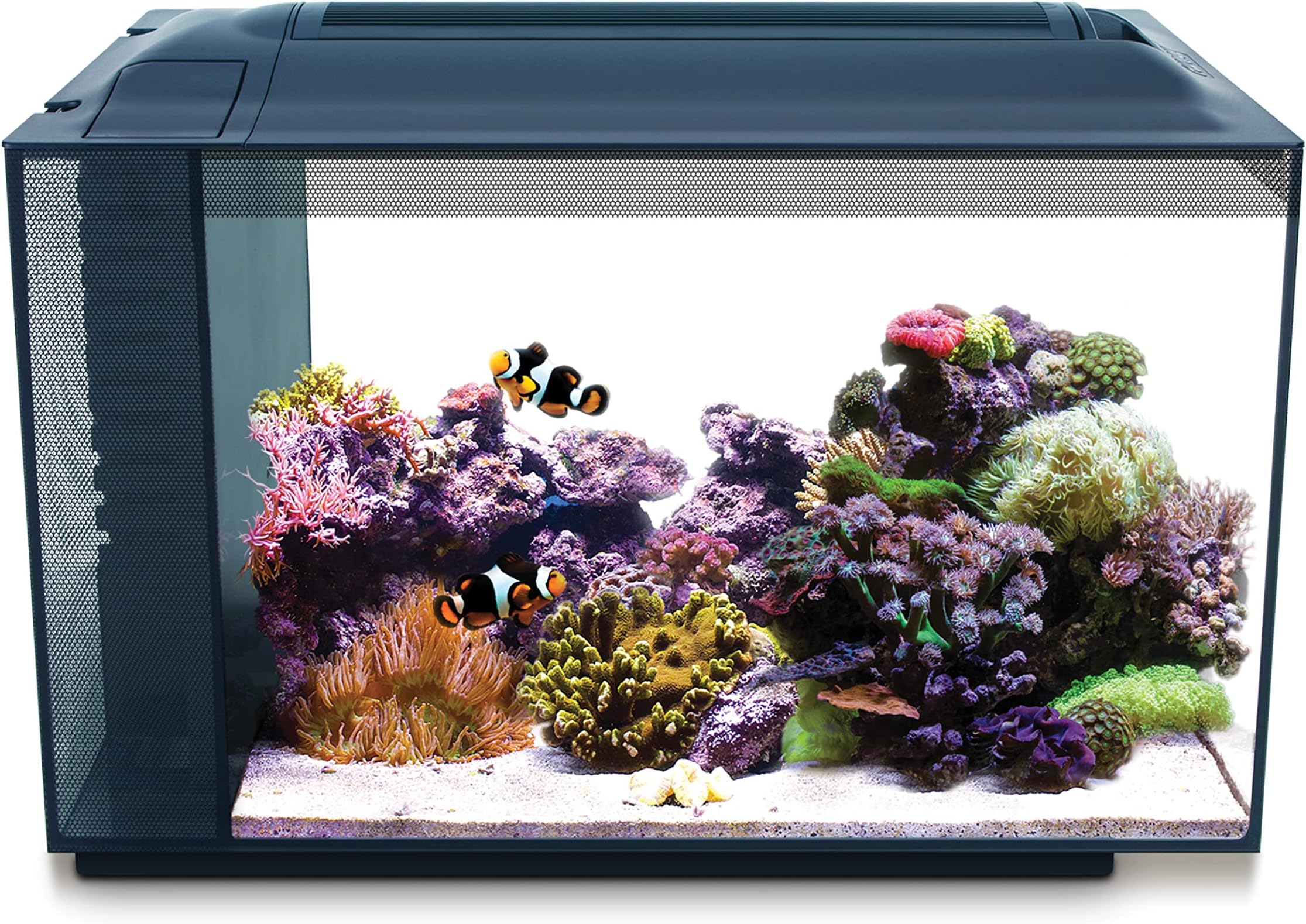 Fluval Evo XII Saltwater Aquarium Kit, 13.5 Gal. – Saltwater Fish Tank with Reef-Capable LED, Efficient 3-Stage Filtration and Seamlessly Integrated Hardware