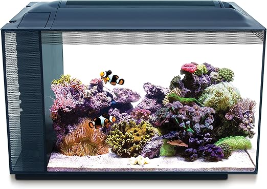 Fluval Evo XII Saltwater Aquarium Kit, 13.5 Gal. – Saltwater Fish Tank with Reef-Capable LED, Efficient 3-Stage Filtration and Seamlessly Integrated Hardware