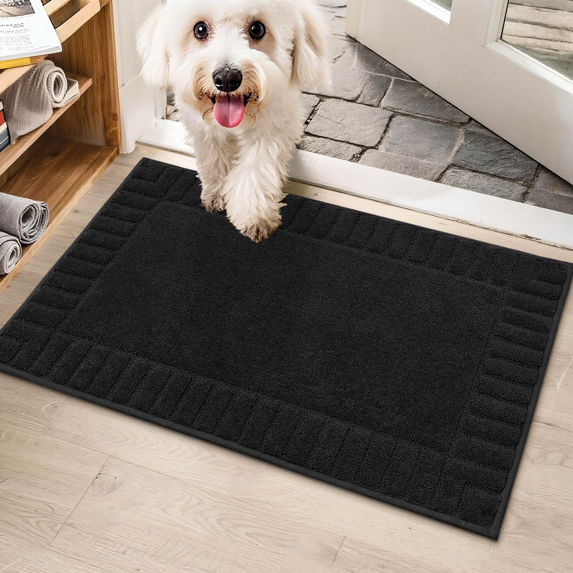 BEQHAUSE Door-Mat-Non-Slip Front Door Mat Washable Low-Profile Entrance Rugs for Front Door Entry Dirt Trapper Door Mats Absorbent Welcome Mats,20"x32