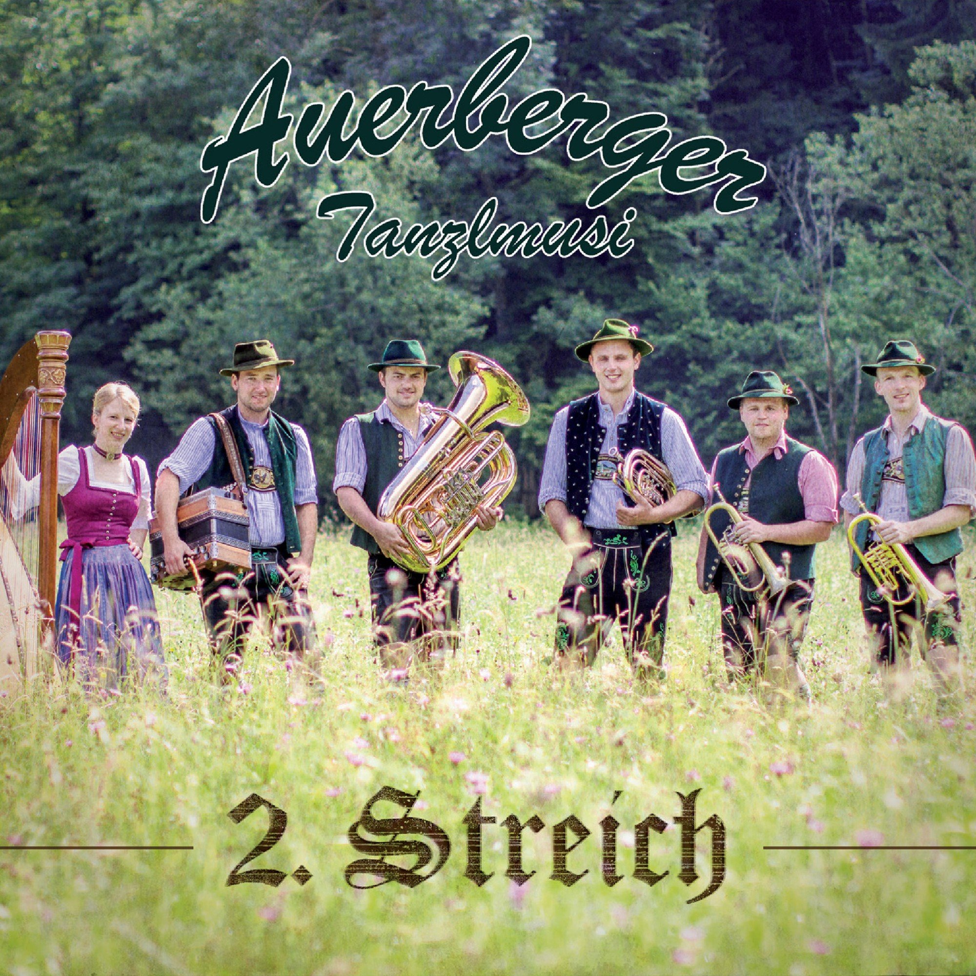 Auerberger Tanzlmusi