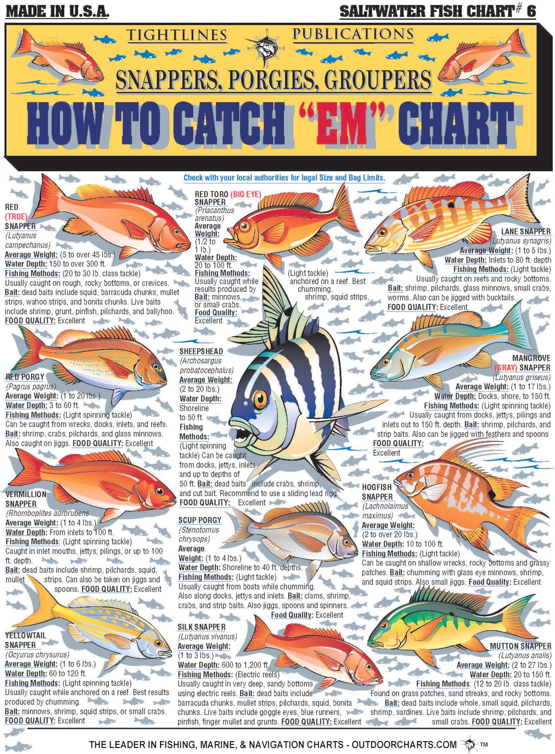 Saltwater Fish Identification Chart #6 - Waterproof Quick Reference Fishing Guide - Species ID + Fishing Methods - (Florida, Atlantic, Gulf of Mexico, and Caribbean) - Great Gift for Beginners