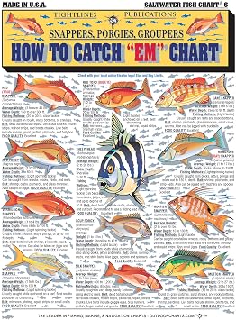 Saltwater Fish Identification Chart #6 - Waterproof Quick Reference Fishing Guide - Species ID + Fishing Methods - Florida, Atlantic, Gulf of Mexico, and Caribbean - Great Gift for Beginners