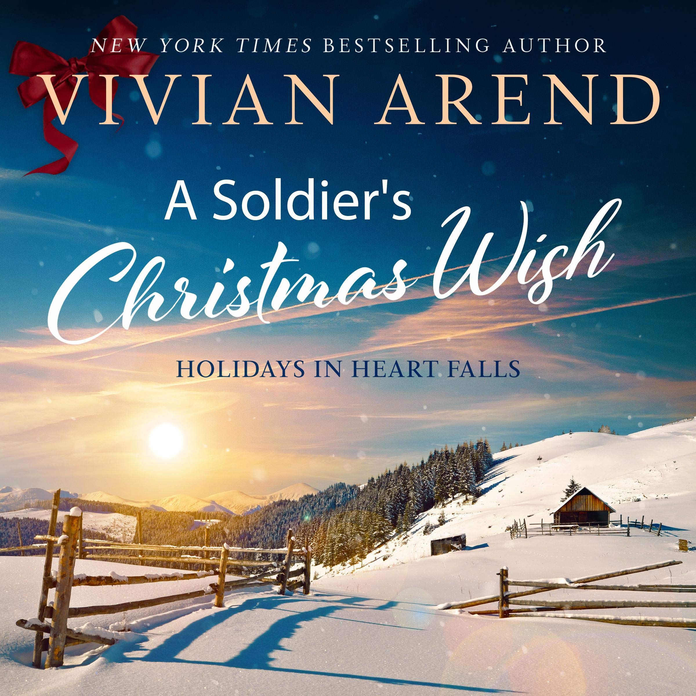 Cover art for A Soldier's Christmas Wish