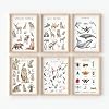 BOLNEY Set of 6 Educational Posters - Kids Wall Art: Wild Animals, Woodland Animals, Birds, Insects, Ocean Life No Frame, 20x30cm-6pcs