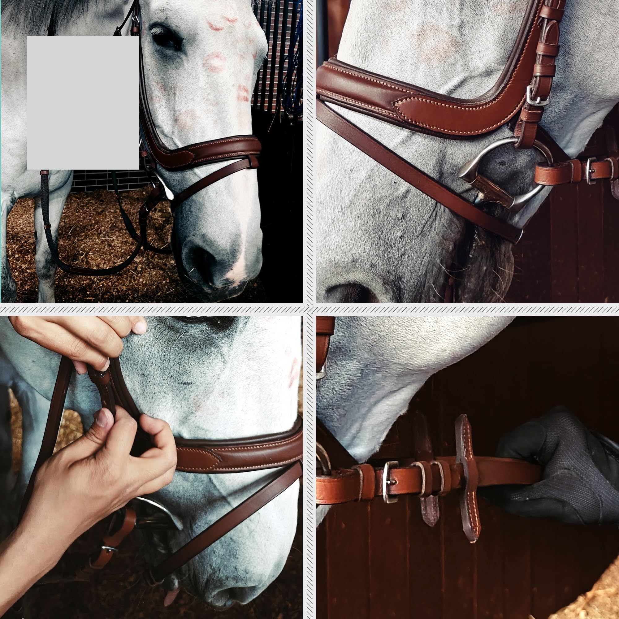 Briglia da Equitazione con redini Antiscivolo Attrezzatura equestre Marrone Nero Attrezzi for Cavalli da Corsa per Cavalli(Dark Brown XL)