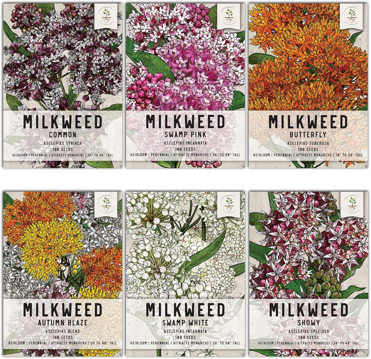 Seed Needs, Milkweed Seeds for Planting - Attract Monarch Butterflies (6 Individual Asclepias Seed Packets) Heirloom & Untreated Seeds