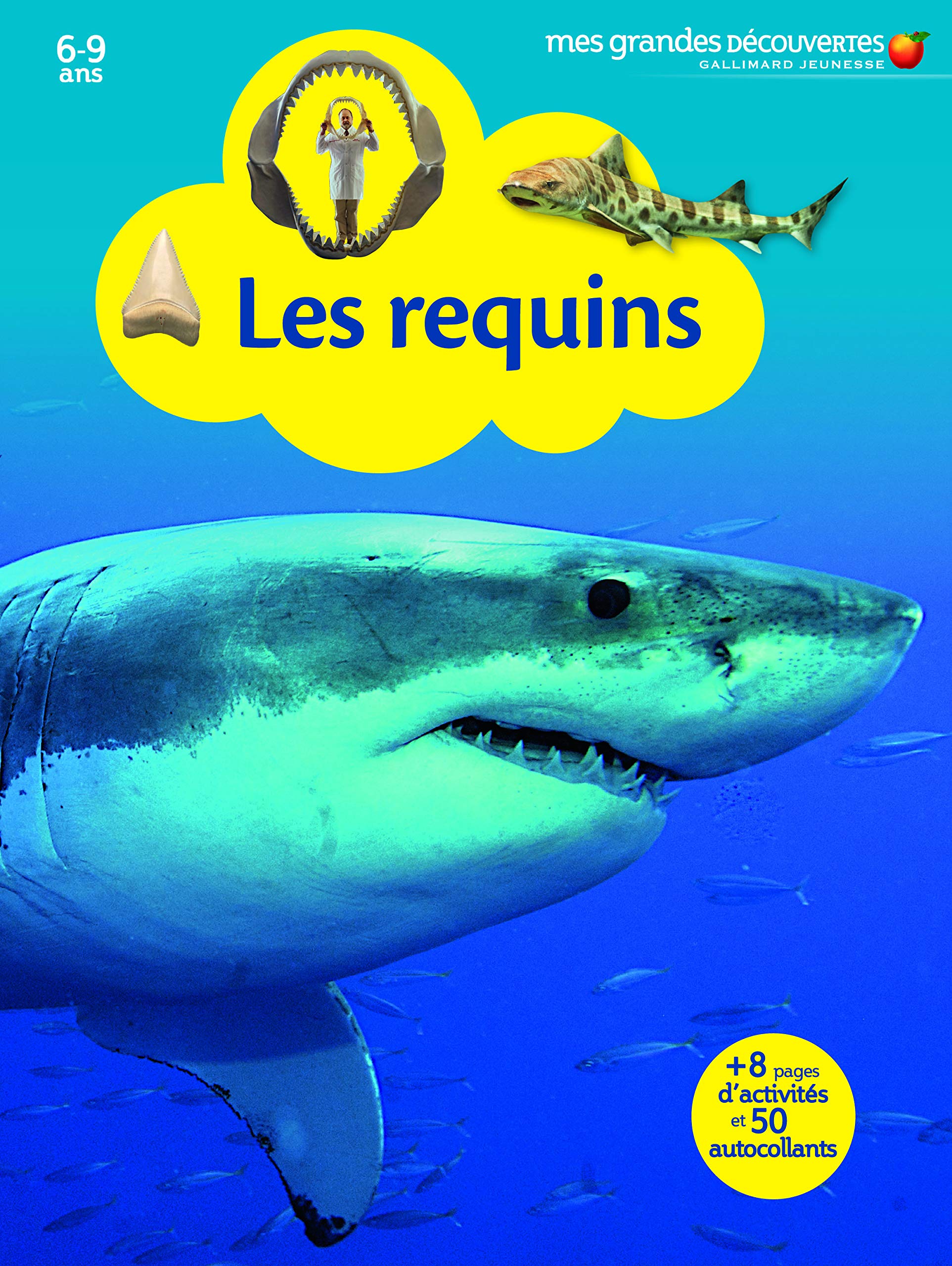 Les requins