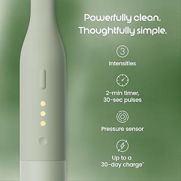 Quip Ultra Lite Sonic Electric Toothbrush with Rapid Dissolvable Teeth Whitening Strips Product Bundle - 15X More Plaque Removal, 20 Treatment Strips, Mint with Coconut Oil - Meadow Green