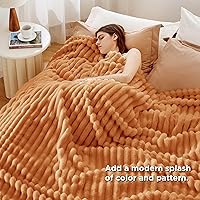 Vista 305 de Bedsure GentleSoft Twin Blanket for Couch - Cozy Soft Blankets for Women, Cute Small Fleece Throws for Girls, Light Grey, 60x80 Inches