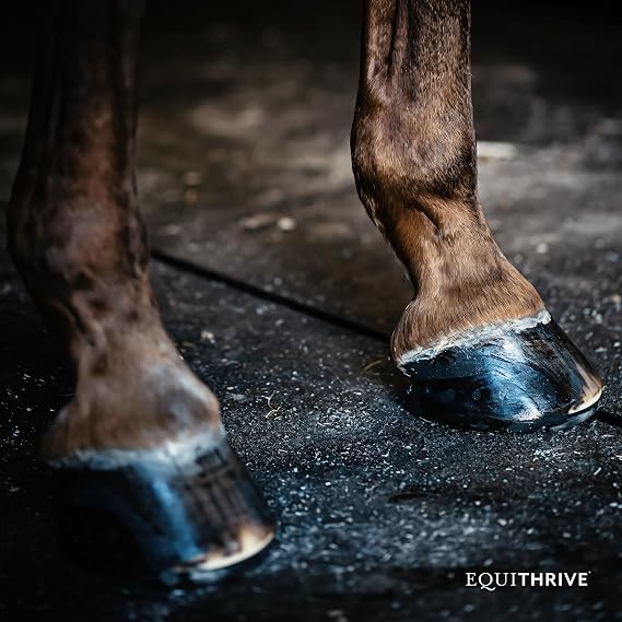 Equithrive Horse Hoof Supplement Pellets with Biotin, Chelated Trace Minerals, Selenium, Methionine, and Omega 3, Equine Hoof Care, 10 lbs