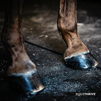 Equithrive Horse Hoof Supplement Pellets with Biotin, Chelated Trace Minerals, Selenium, Methionine, and Omega 3, Equine Hoof Care, 10 lbs