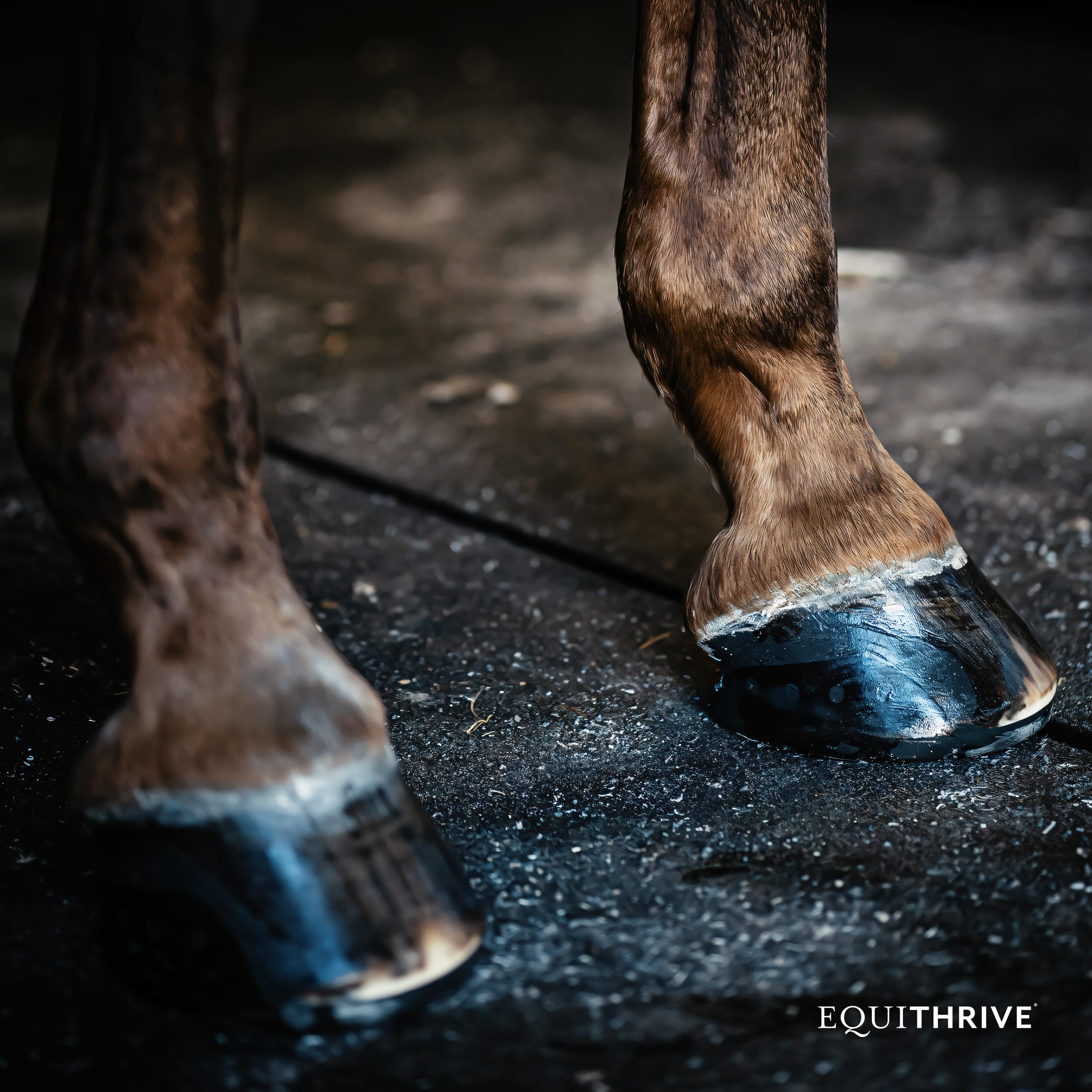 Equithrive Pellet di integratore per zoccoli per cavalli con biotina, tracce di minerali chelati, selenio, metionina e Omega 3, cura degli zoccoli equini, 4,5 kg