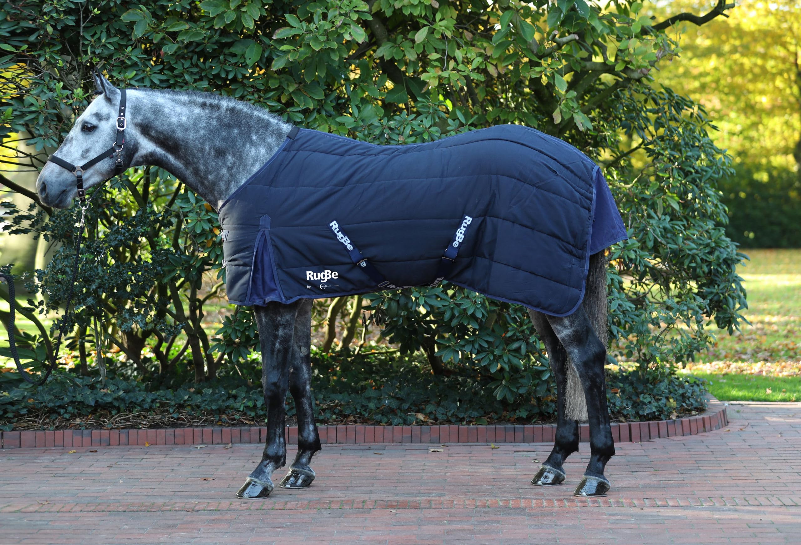 Covalliero Manta Caballo RugBe Indoor 165 cm, Azul