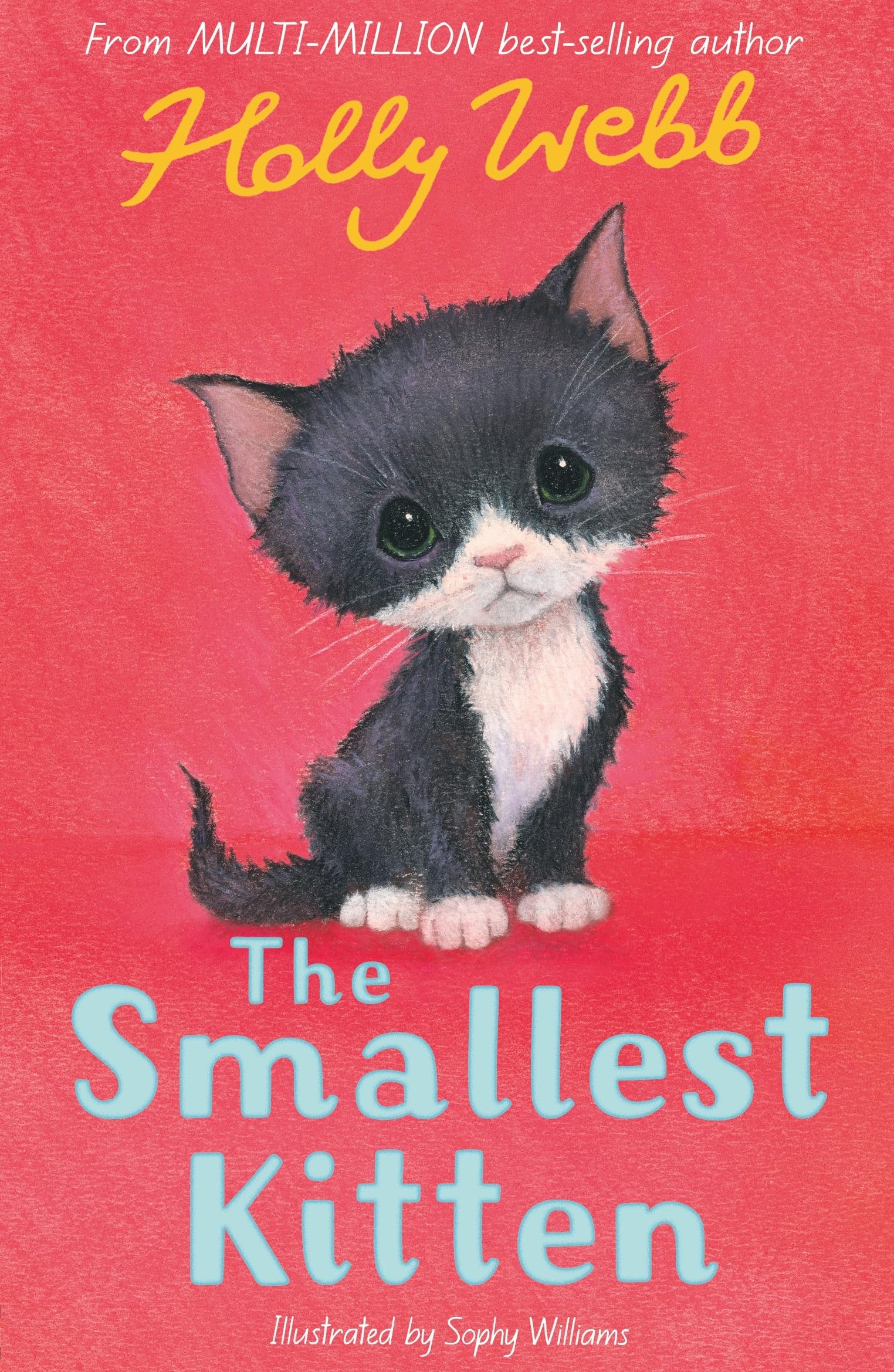 Smallest Kitten