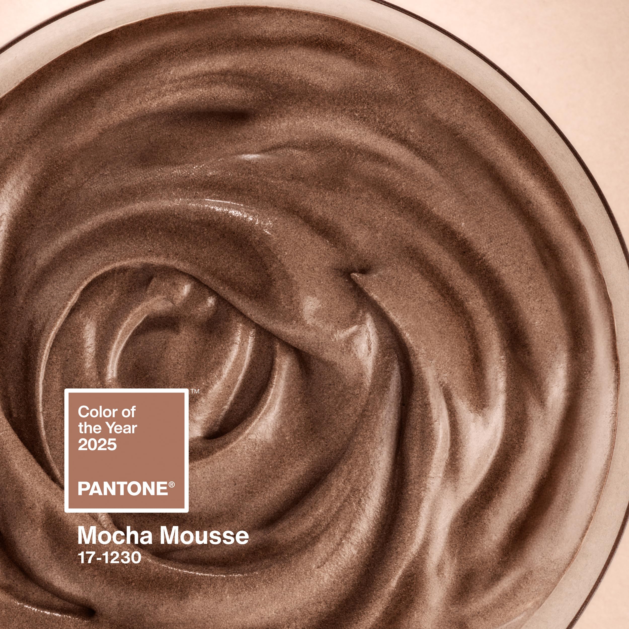 Pantone Tasse à café en porcelaine 375 ml avec boîte cadeau Couleur de l'année 2025 : mousse Mocha 17-1230