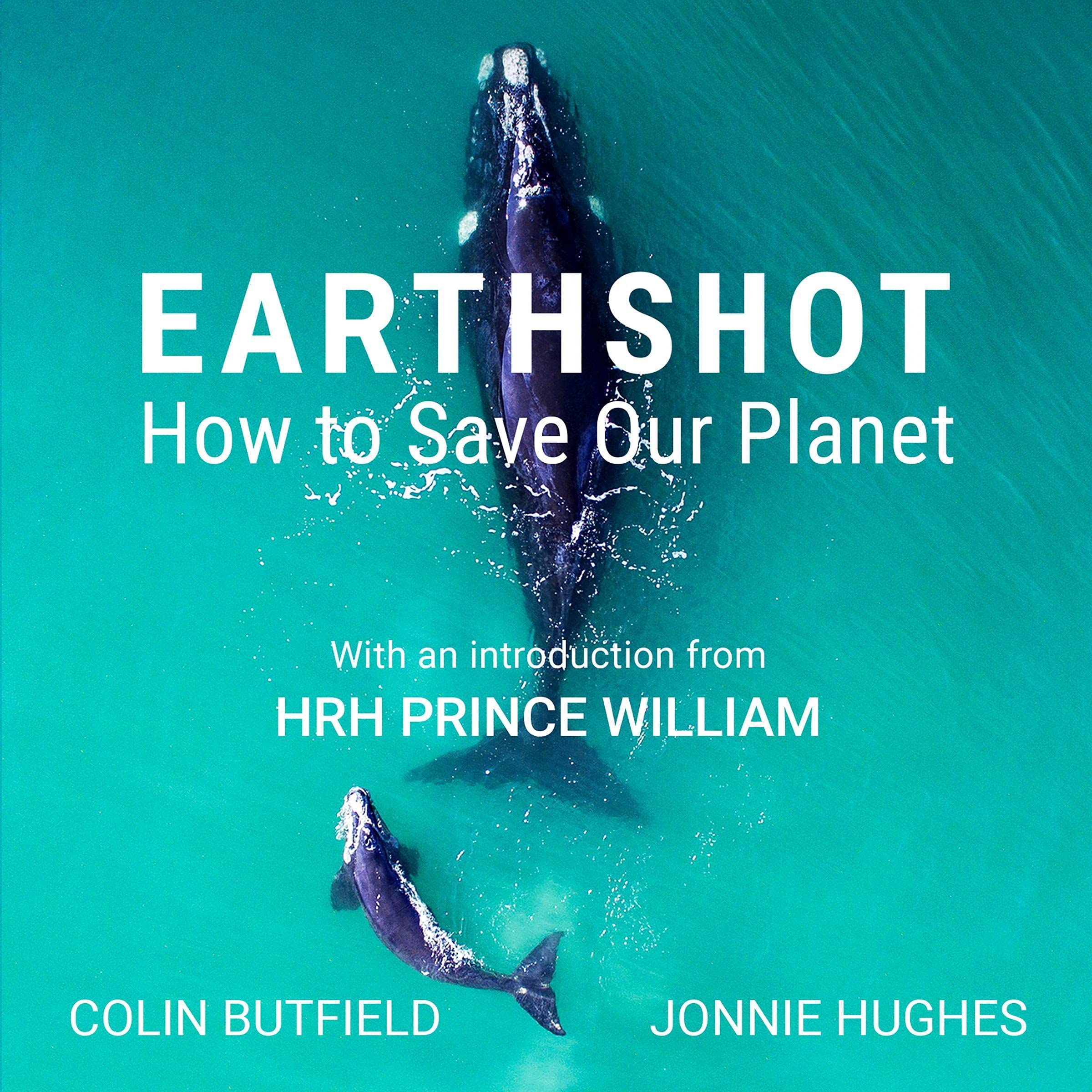 Cover art for Earthshot