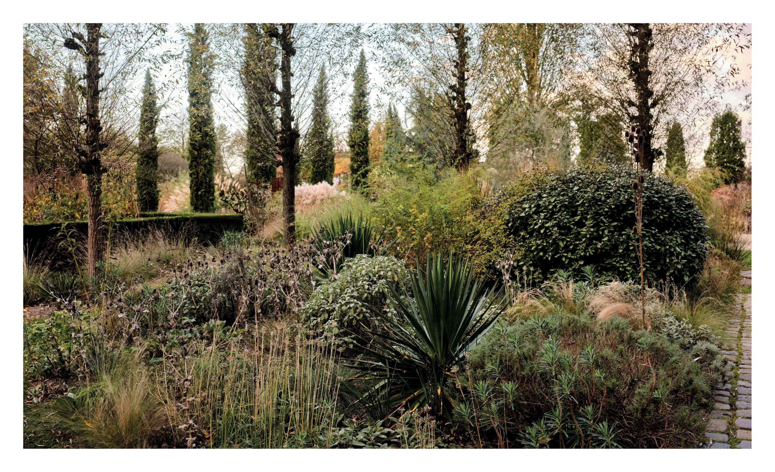 Pastorale Gärten: Inspirierende Gärten, wilde Landschaften und neue Ideen für nachhaltige Gartengestaltung.: Wo Natur auf Gartenkunst trifft.