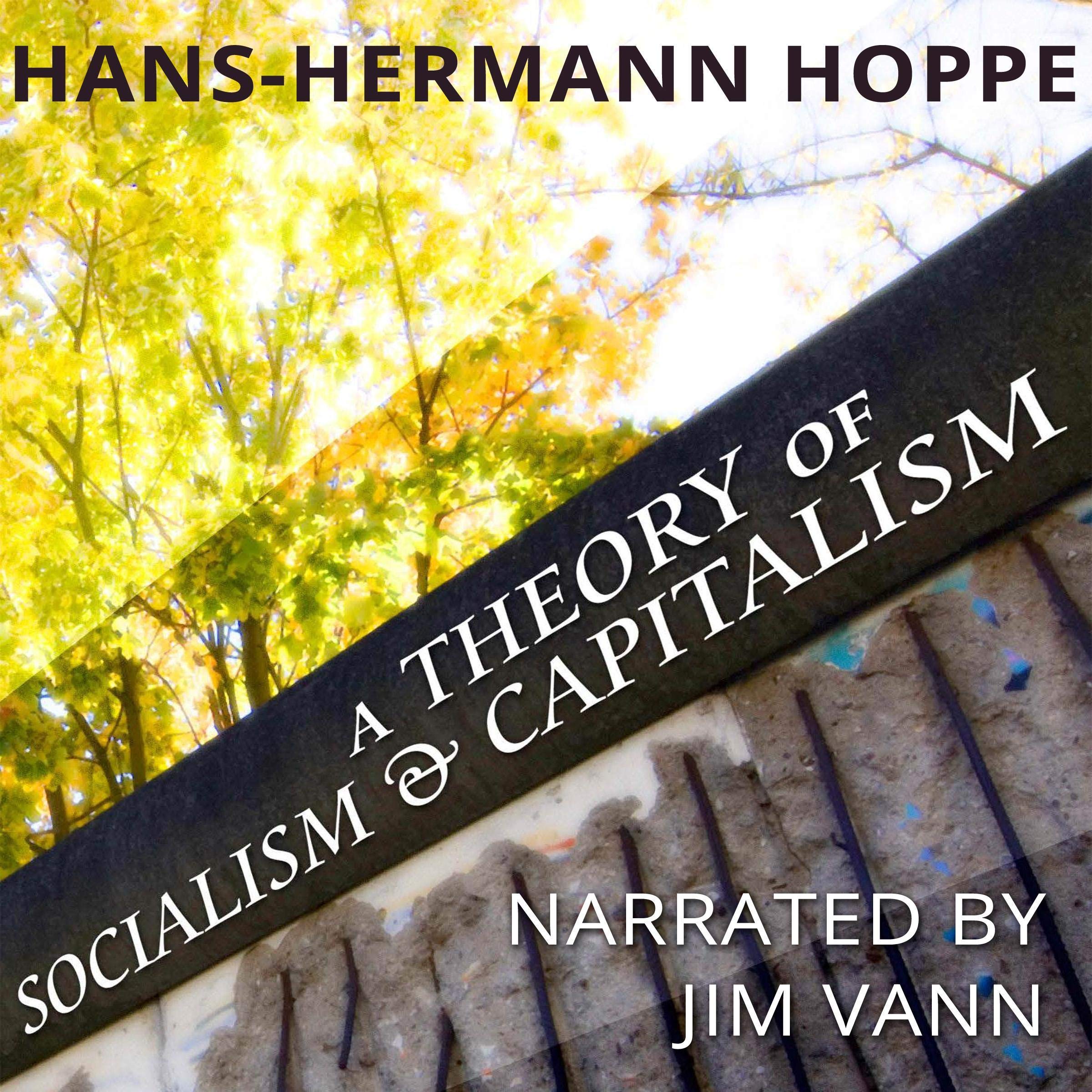 Cover art for A Theory of Socialism and Capitalism