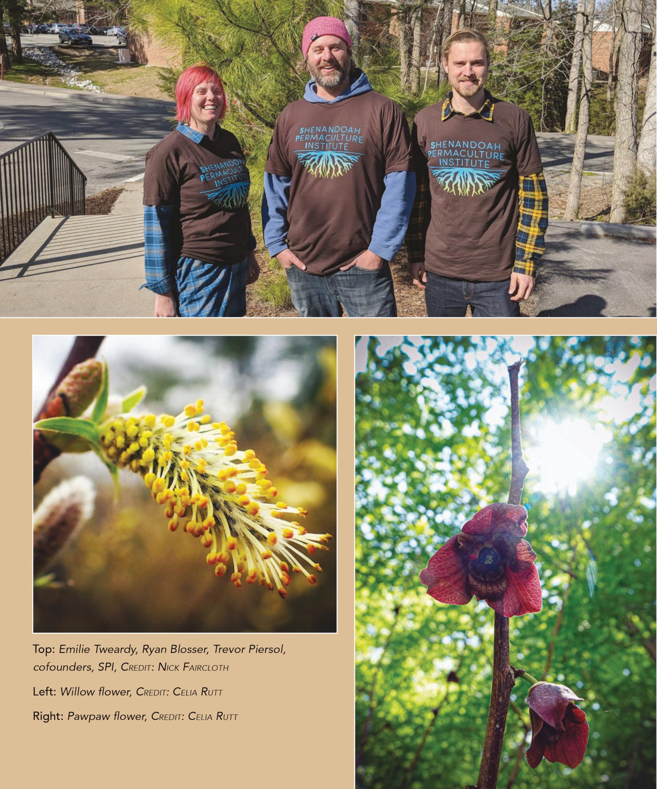 Mulberries in the Rain: Growing Permaculture Plants for Food and Friendship