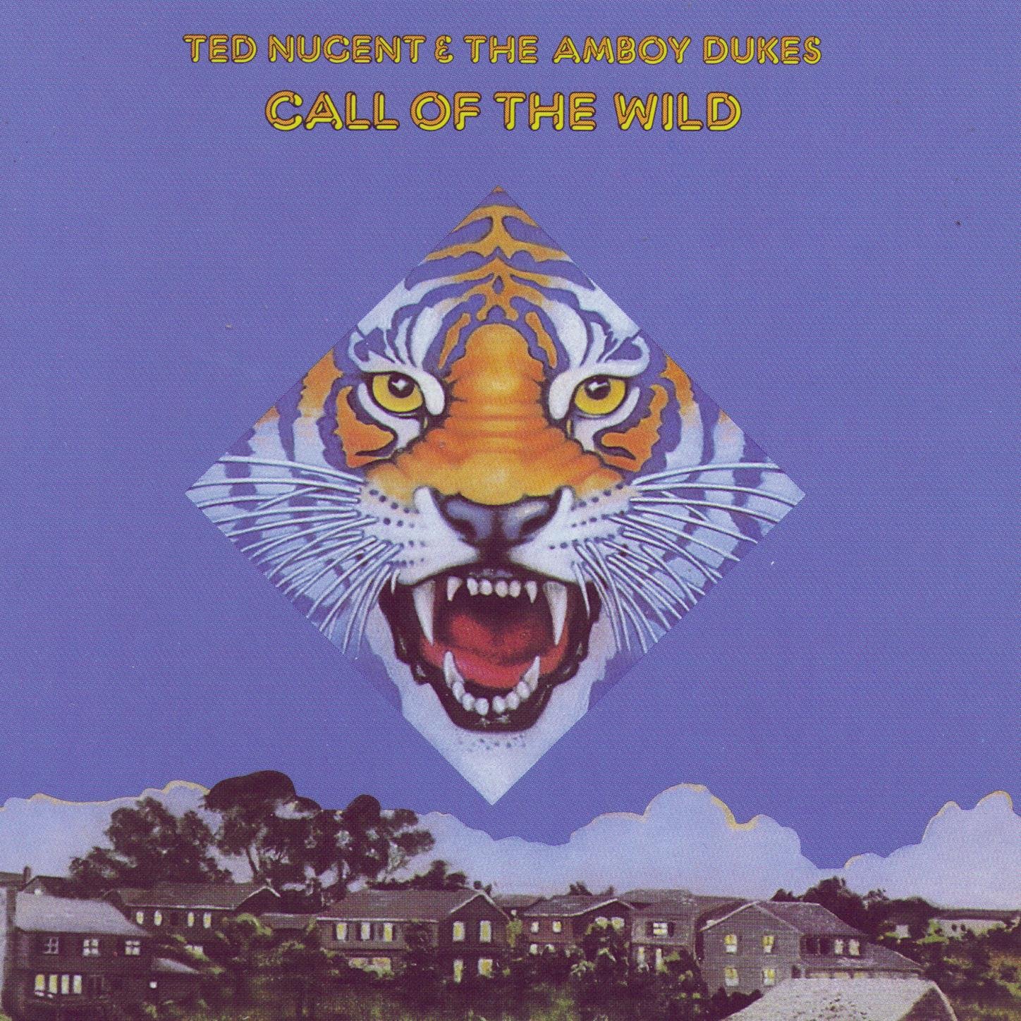 Ted Nugent And The Amboy Dukes