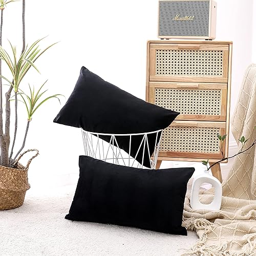 NiNi ALL Juego de 2 fundas de almohada decorativas de terciopelo, fundas de almohada para sofá, fundas de almohada para dormitorio, sala de estar al