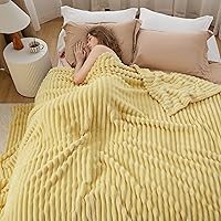 Vista 463 de Bedsure GentleSoft Twin Blanket for Couch - Cozy Soft Blankets for Women, Cute Small Fleece Throws for Girls, Light Grey, 60x80 Inches