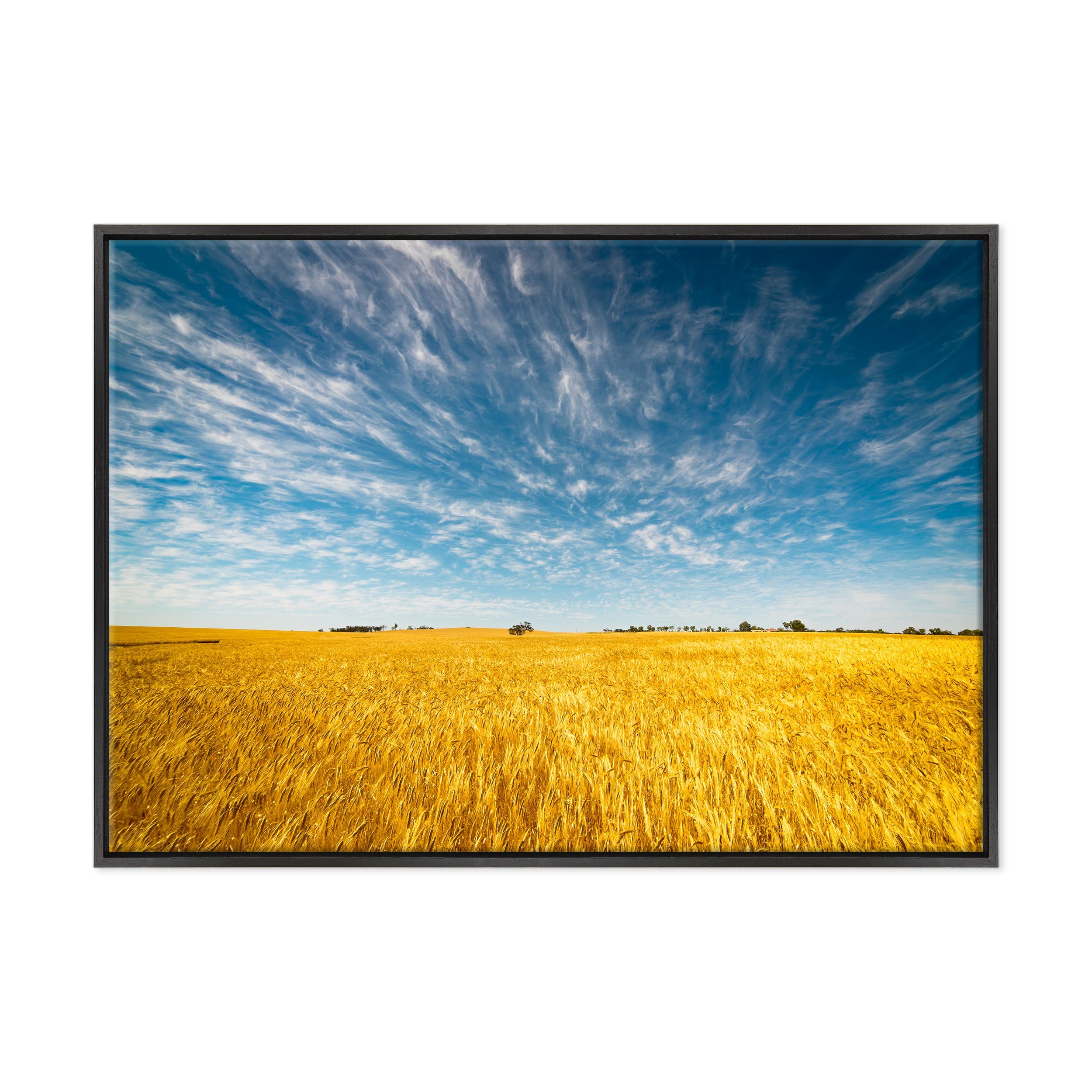 Cuadro sobre lienzo Canvas – ConKrea – Listo para colgar – Campo De Trigo – Granja