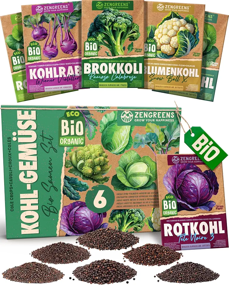 Wirsing: Vitaminreiches Wintergemüse 3 ZenGreens® - Bio Kohlgemüsesamen im 6er Set - 6 Kohl Gemüse Samen für den einfachen Anbau im Garten, Balkon oder Hochbeet - Pflanzensamen - Saatgut
