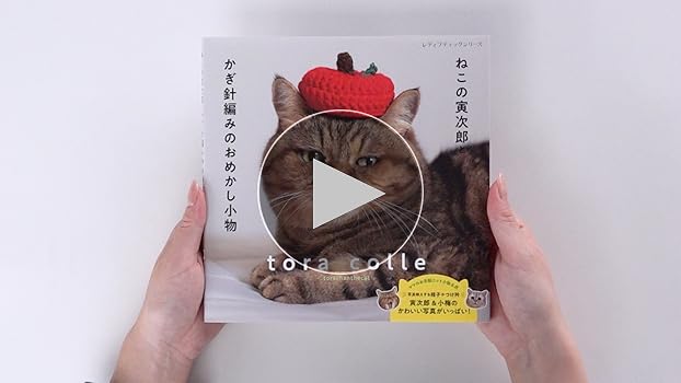 猫の寅さん専用 猫の寅さん専用 猫の寅さん 専用 猫の寅さん専用 ZX-
