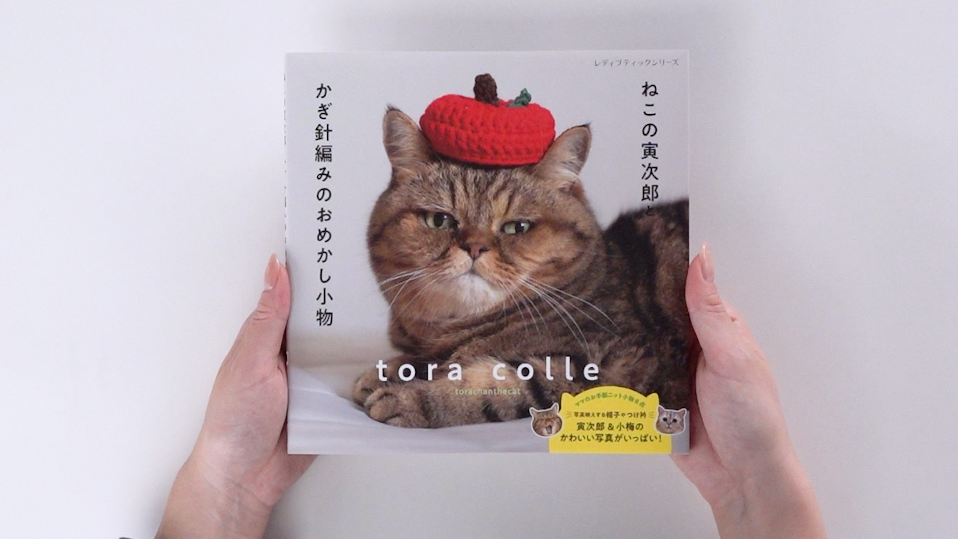 猫の寅 猫の寅 カード検索 ｜ Z/X - Zillions of enemy X - ゼクス公式