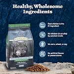 Blue Buffalo Wilderness with Chicken High-Protein Grain-Free Adult Dry Dog Food, 34g Protein, Supports Immunity with Antioxidant-Rich LifeSource Bits, Promotes Healthy Muscle Development, 24 lbs.