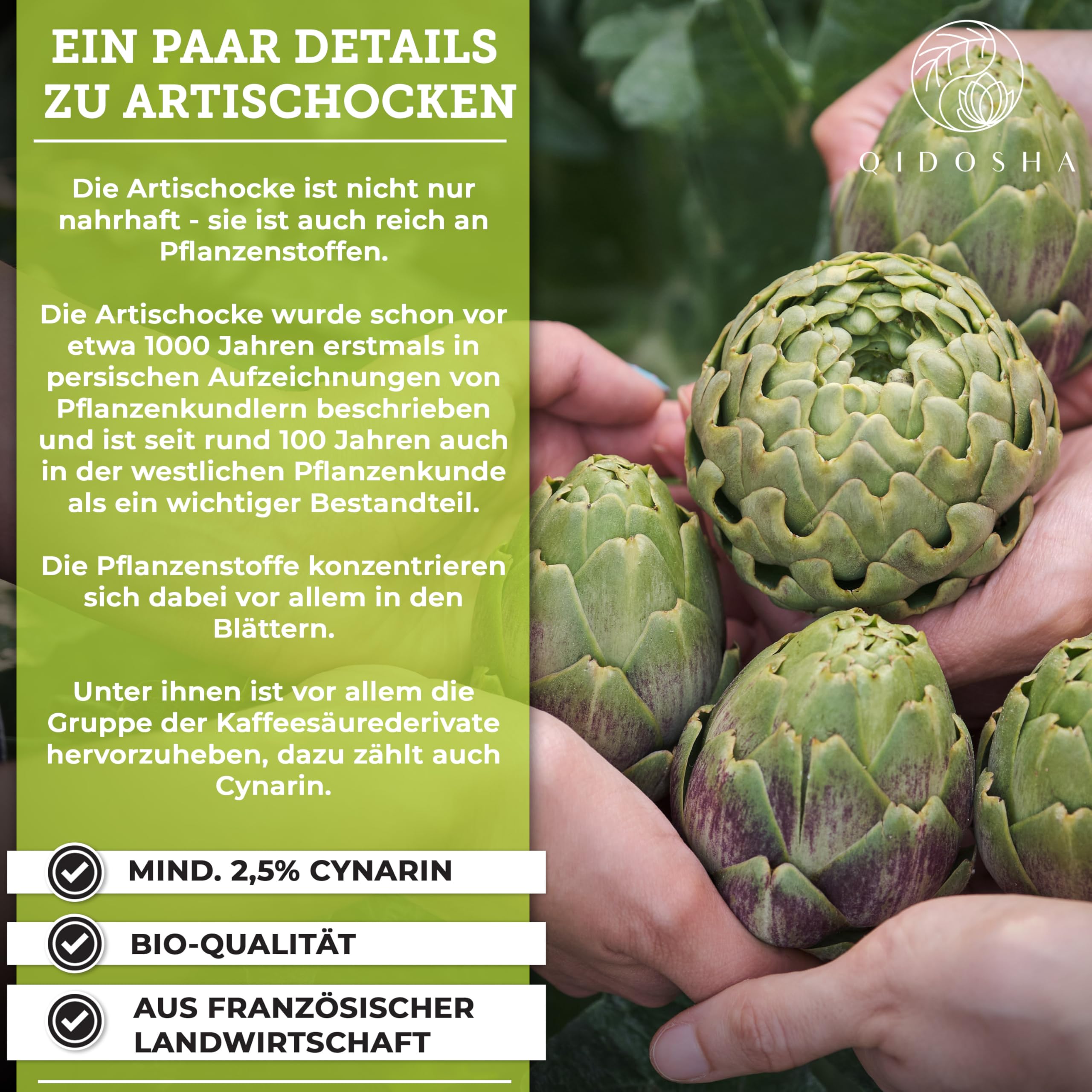 QIDOSHA® Bio Artischocken-Extrakt aus Frankreich, 240 Kapseln im Apothekerglas, 1800mg je Tagesportion, 600mg je Kapsel, mit 2,5% Cynarin, deutsche Fertigung, jede Charge laborgeprüft