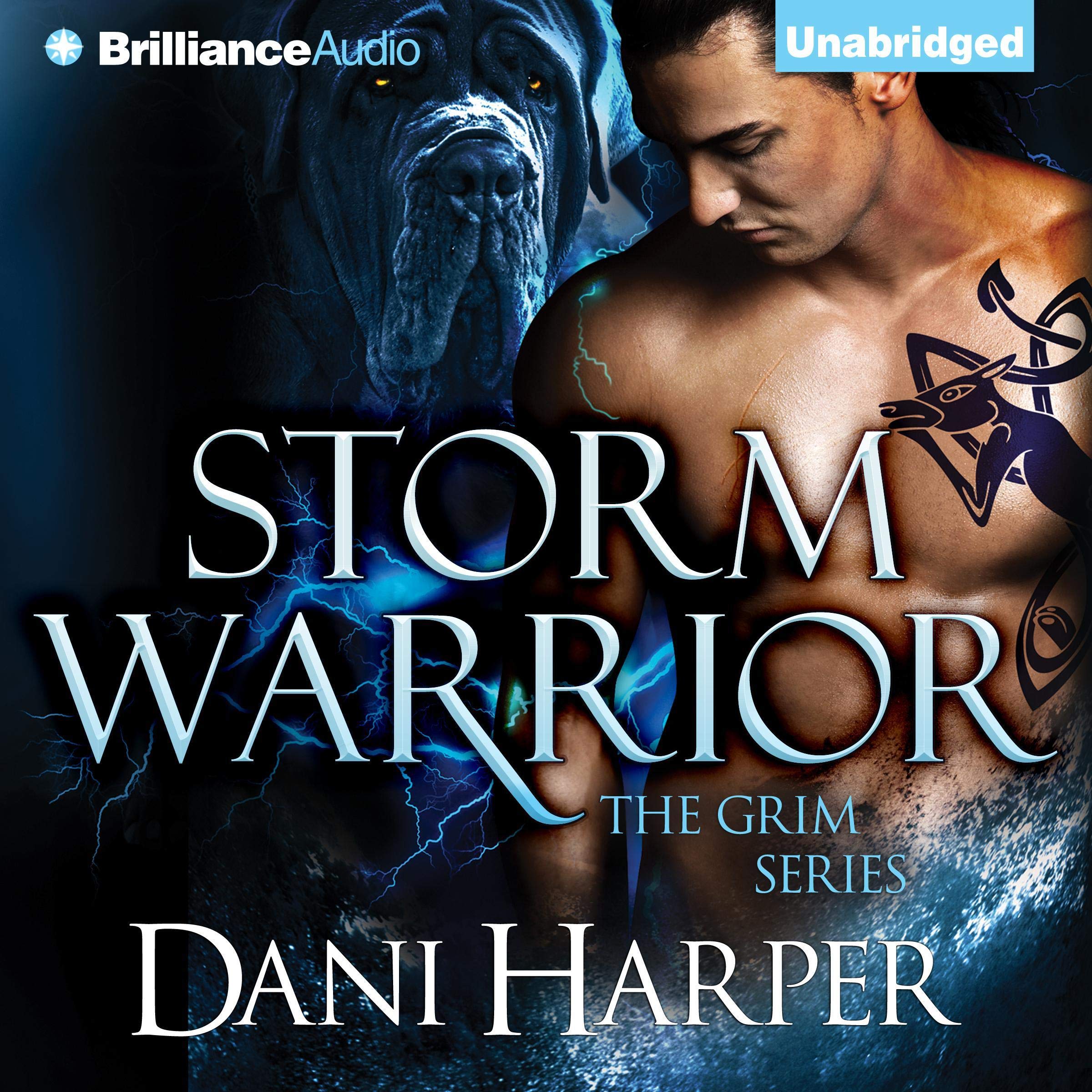 Cover art for Storm Warrior