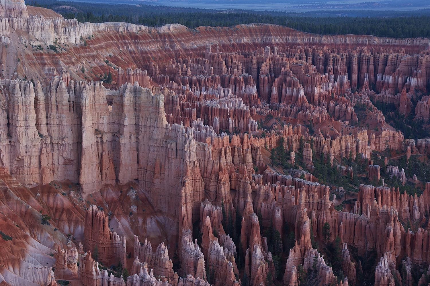 Sony DT 18-200mm f/3.5-6.3 Aspherical ED High Magnification Zoom Lens for Sony Alpha Digital SLR Camera