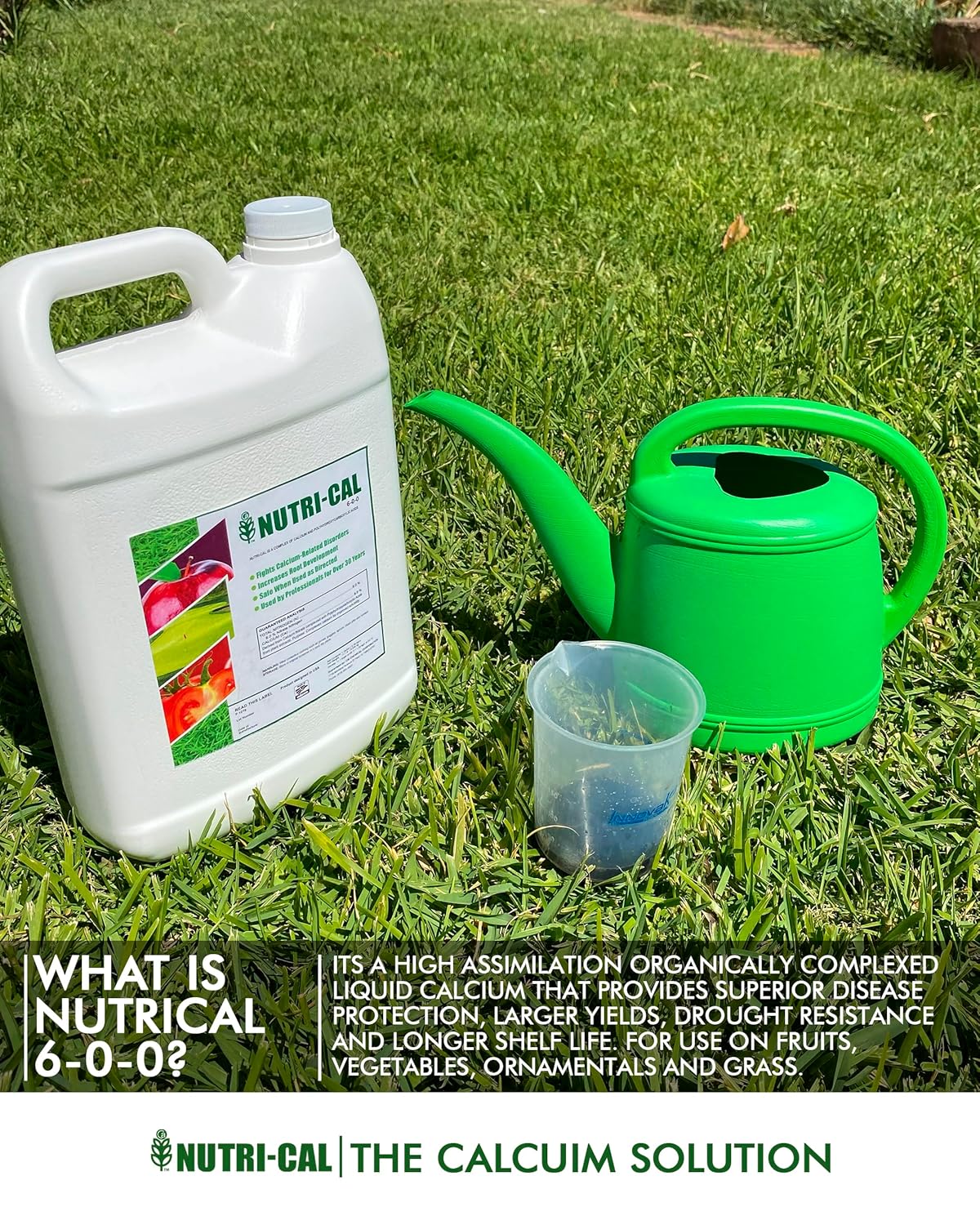 Liquid Calcium Fertilizer for Tomatoes and Vegetables – Prevent Blossom End Rot – Fast-Acting Plant Calcium Supplement for Healthy Growth