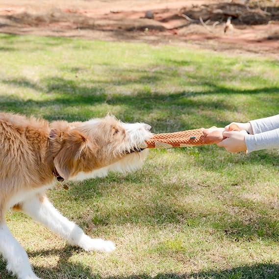 Dog Toy with Squeaky, Soft Plush Chew Toy for Small Medium Dogs, Interactive Playtime Buddy with Crinkly Sound, Squirrel